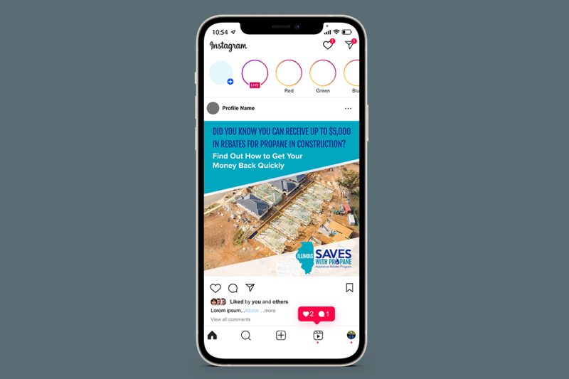 Novak-Graphic-Portfolio-IPS